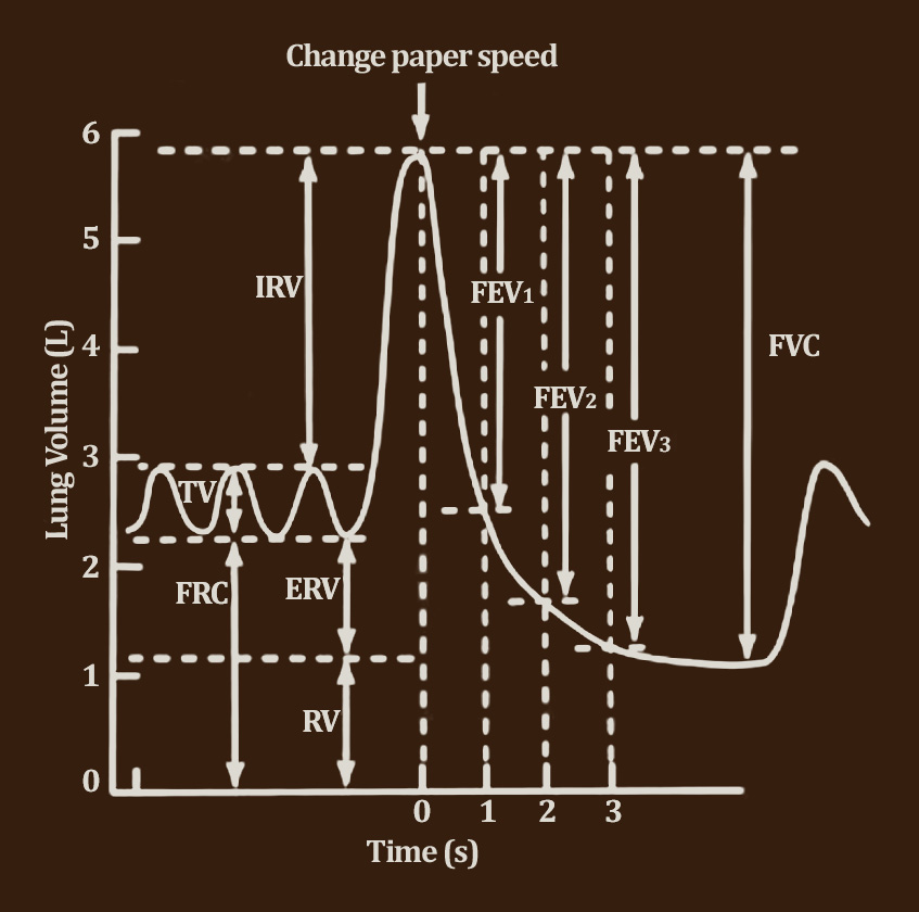 Illustrated letter A representing systemic allergic inflammation